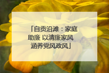 自贡沿滩：家庭助廉 以清廉家风涵养党风政风