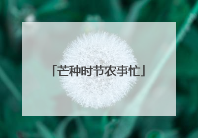 芒种时节农事忙