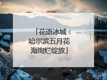 花语冰城：哈尔滨五月花海绚烂绽放