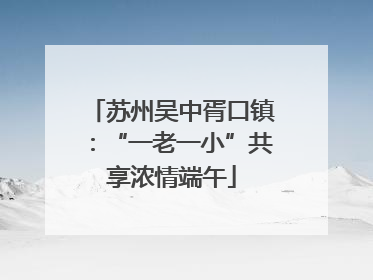 苏州吴中胥口镇：“一老一小”共享浓情端午