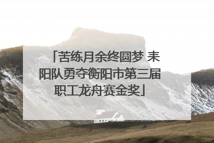 苦练月余终圆梦 耒阳队勇夺衡阳市第三届职工龙舟赛金奖