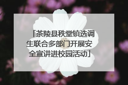 茶陵县秩堂镇选调生联合多部门开展安全宣讲进校园活动