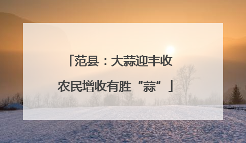 范县：大蒜迎丰收 农民增收有胜“蒜”