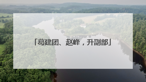 葛建团、赵峰，升副部