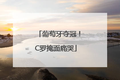 葡萄牙夺冠！C罗掩面痛哭