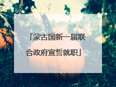 蒙古国新一届联合政府宣誓就职
