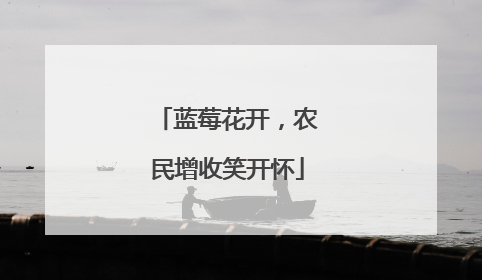蓝莓花开，农民增收笑开怀