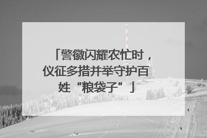 警徽闪耀农忙时，仪征多措并举守护百姓“粮袋子”