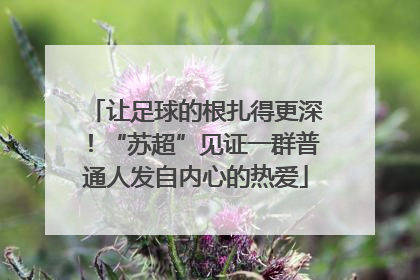 让足球的根扎得更深！“苏超”见证一群普通人发自内心的热爱