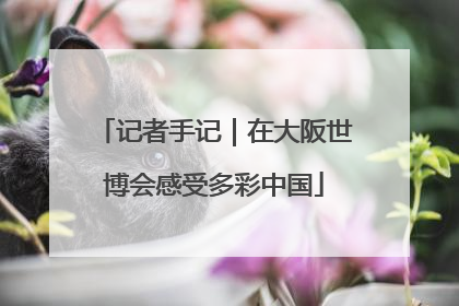 记者手记｜在大阪世博会感受多彩中国