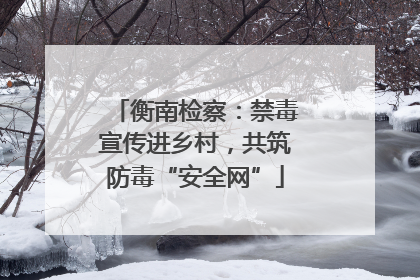 衡南检察：禁毒宣传进乡村，共筑防毒“安全网”