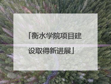 衡水学院项目建设取得新进展