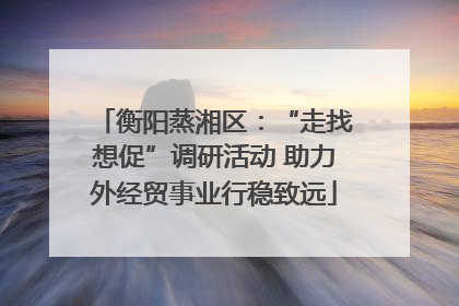 衡阳蒸湘区：“走找想促”调研活动 助力外经贸事业行稳致远