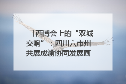 西博会上的“双城交响”：四川六市州共展成渝协同发展画卷｜西博视界