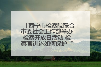 西宁市检察院联合市委社会工作部举办检察开放日活动 检察官讲述如何保护“少年的你”