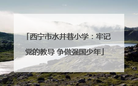 西宁市水井巷小学：牢记党的教导 争做强国少年