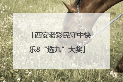 西安老彩民守中快乐8“选九”大奖
