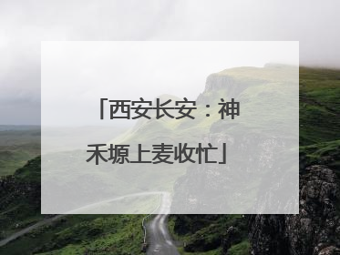 西安长安：神禾塬上麦收忙