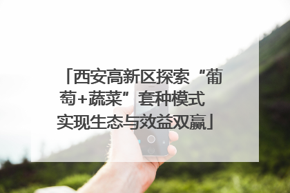 西安高新区探索“葡萄+蔬菜”套种模式 实现生态与效益双赢
