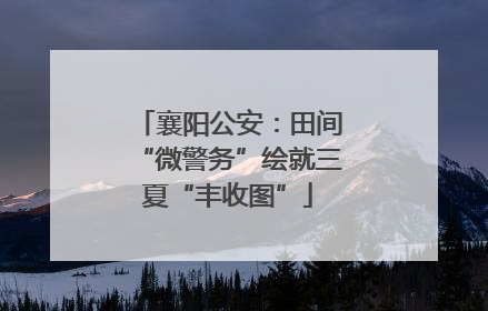 襄阳公安：田间“微警务”绘就三夏“丰收图”