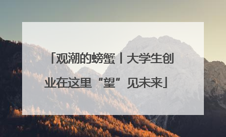 观潮的螃蟹丨大学生创业在这里“望”见未来