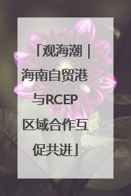 观海潮｜海南自贸港与RCEP区域合作互促共进