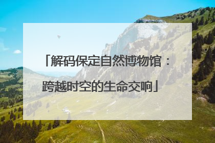 解码保定自然博物馆：跨越时空的生命交响