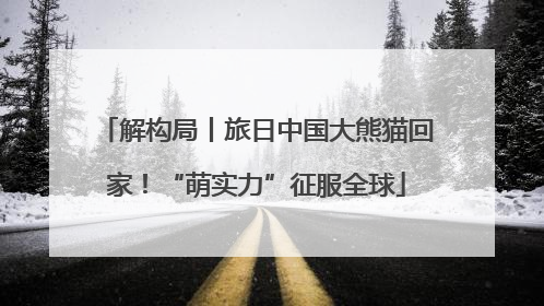 解构局丨旅日中国大熊猫回家！“萌实力”征服全球
