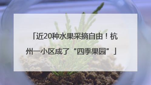 近20种水果采摘自由！杭州一小区成了“四季果园”