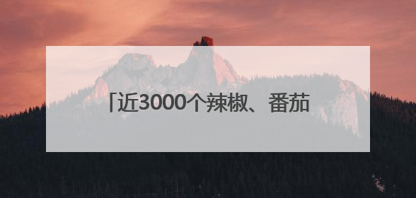 近3000个辣椒、番茄、玉米等蔬果新品种亮相，成都种业博览会在蓉开幕
