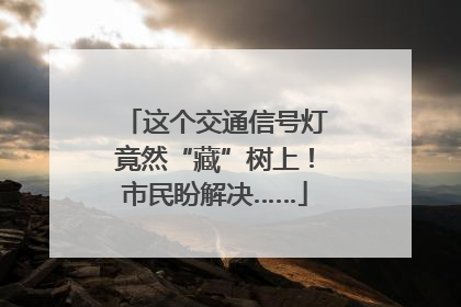 这个交通信号灯竟然“藏”树上！市民盼解决……