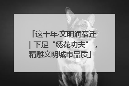 这十年·文明润宿迁｜下足“绣花功夫”，精雕文明城市品质
