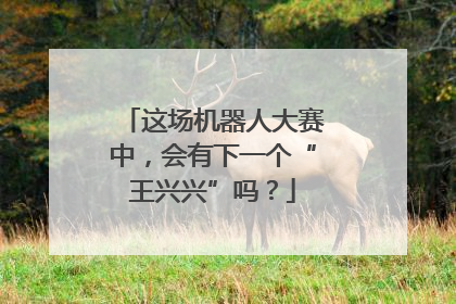 这场机器人大赛中，会有下一个“王兴兴”吗？