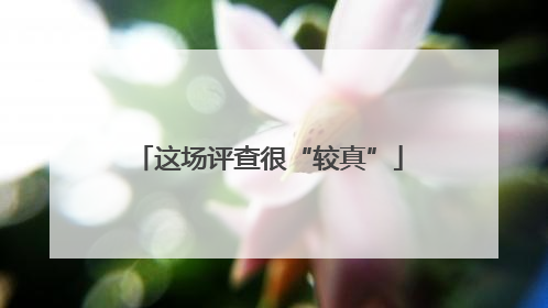 这场评查很“较真”
