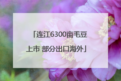 连江6300亩毛豆上市 部分出口海外
