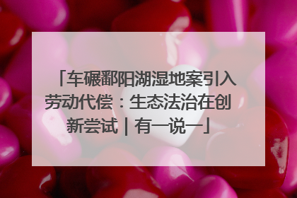 车碾鄱阳湖湿地案引入劳动代偿：生态法治在创新尝试｜有一说一