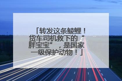 转发这条鲮鲤！货车司机救下的“胖宝宝”，是国家一级保护动物！