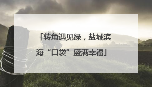 转角遇见绿，盐城滨海“口袋”盛满幸福