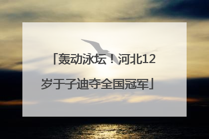 轰动泳坛！河北12岁于子迪夺全国冠军