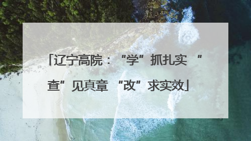 辽宁高院：“学”抓扎实 “查”见真章 “改”求实效