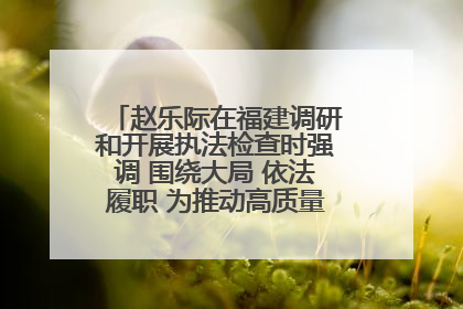 赵乐际在福建调研和开展执法检查时强调 围绕大局 依法履职 为推动高质量发展作出人大贡献