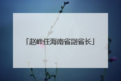 赵峰任海南省副省长