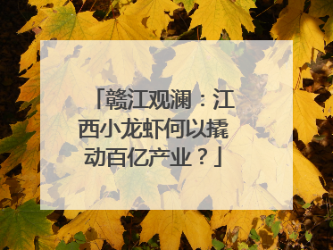 赣江观澜：江西小龙虾何以撬动百亿产业？