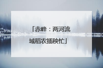 赤峰：两河流域稻农插秧忙