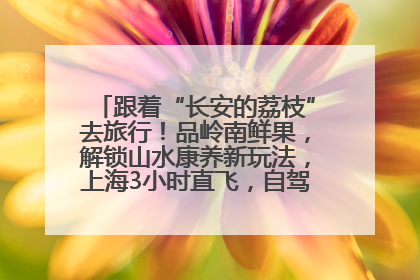 跟着“长安的荔枝”去旅行！品岭南鲜果，解锁山水康养新玩法，上海3小时直飞，自驾高速费优惠