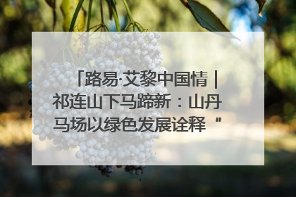路易·艾黎中国情｜祁连山下马蹄新：山丹马场以绿色发展诠释“两山”理论实践