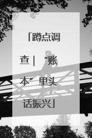 蹲点调查｜“账本”里头话振兴