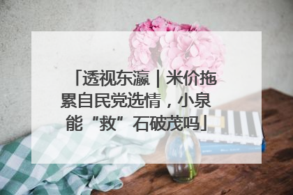透视东瀛｜米价拖累自民党选情，小泉能“救”石破茂吗