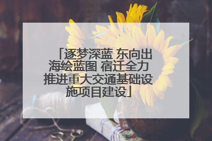 逐梦深蓝 东向出海绘蓝图 宿迁全力推进重大交通基础设施项目建设