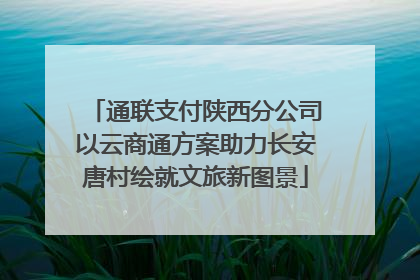 通联支付陕西分公司以云商通方案助力长安唐村绘就文旅新图景